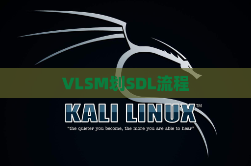 VLSM划SDL流程