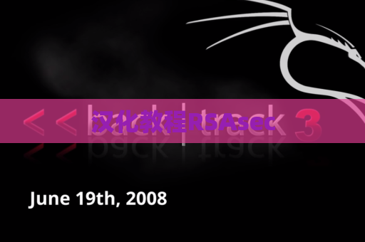 汉化教程RSAsec