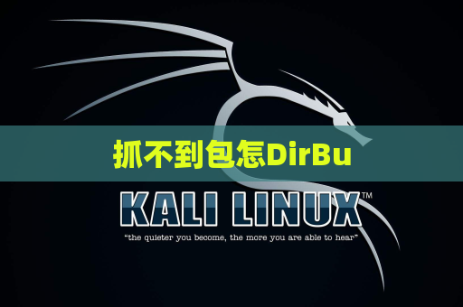 抓不到包怎DirBu