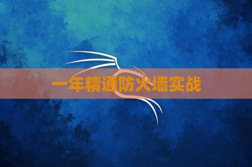 一年精通防火墙实战