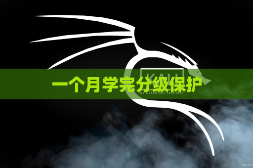 一个月学完分级保护