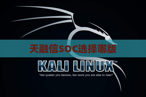 天融信SOC选择哪版