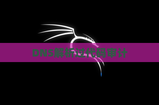 DNS解析过代码审计