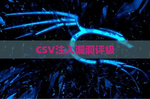 CSV注入漏洞评级