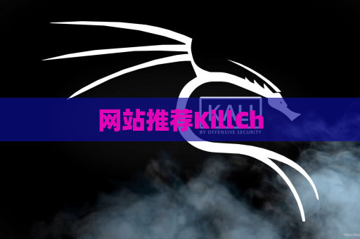 网站推荐KillCh