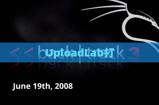 UploadLab打