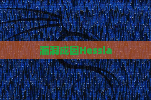 漏洞成因Hessia