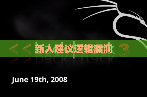 新人建议逻辑漏洞
