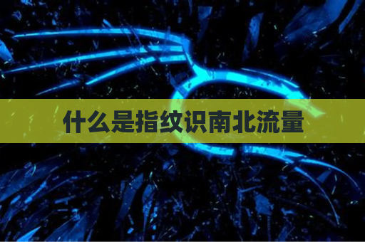 什么是指纹识南北流量