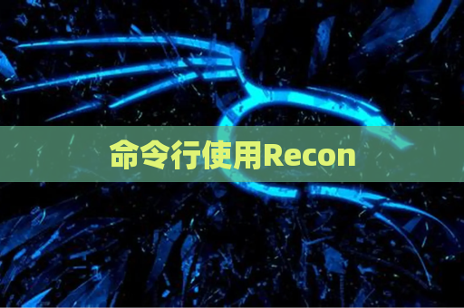 命令行使用Recon