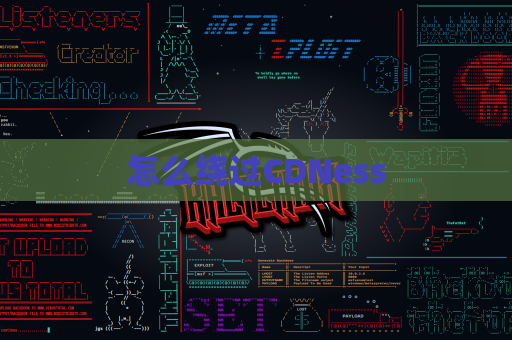 怎么绕过CDNess