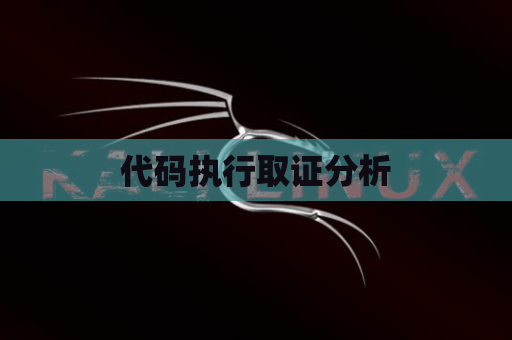 代码执行取证分析