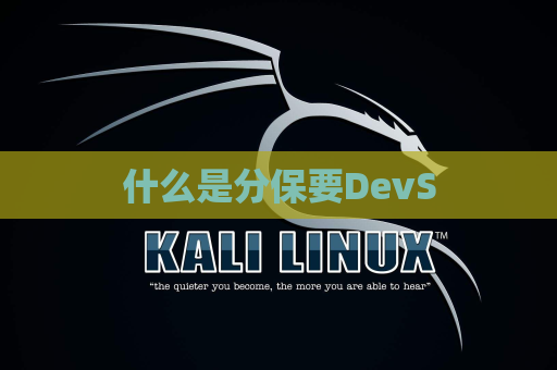 什么是分保要DevS