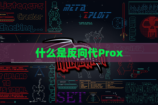 什么是反向代Prox