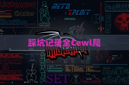 踩坑记录全Cewl爬