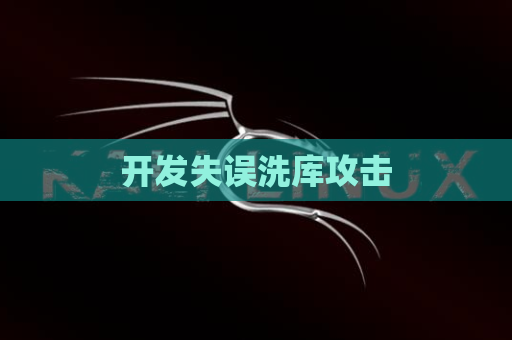 开发失误洗库攻击