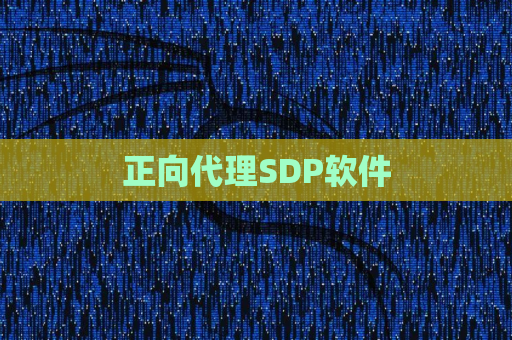 正向代理SDP软件