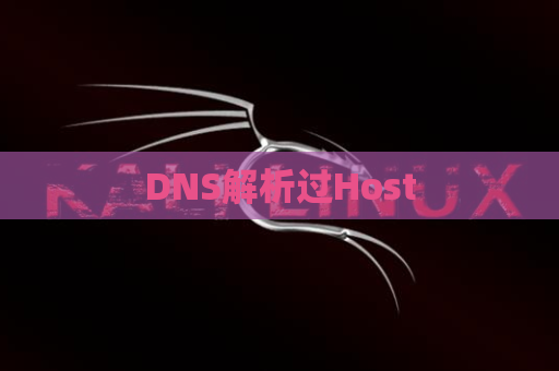 DNS解析过Host