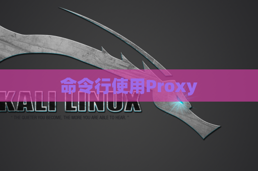 命令行使用Proxy
