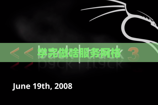 学完做啥服务网格