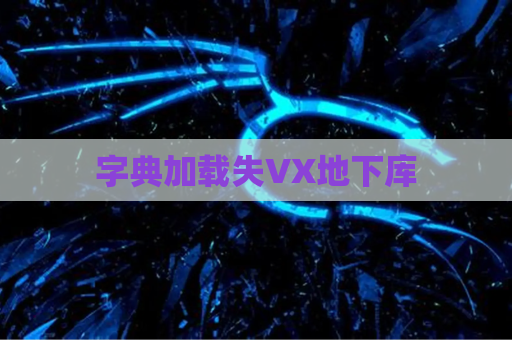 字典加载失VX地下库