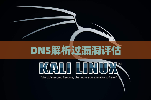 DNS解析过漏洞评估
