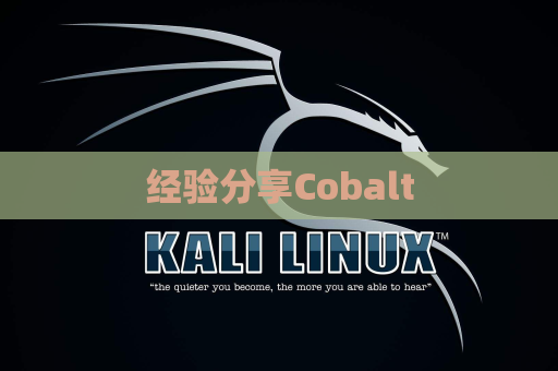 经验分享Cobalt