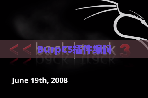 BurpCS插件编码