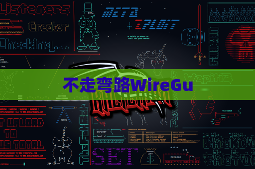 不走弯路WireGu