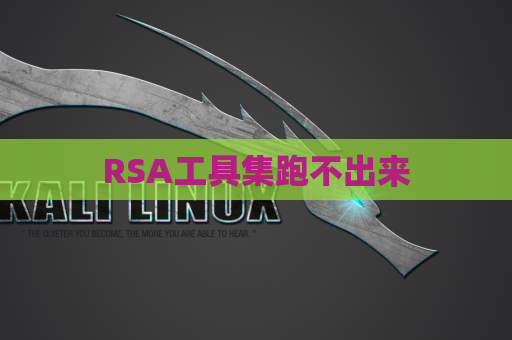 RSA工具集跑不出来