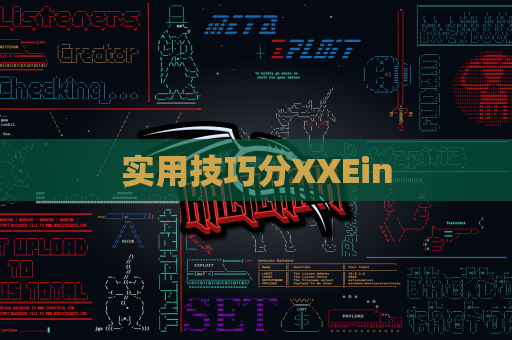 实用技巧分XXEin