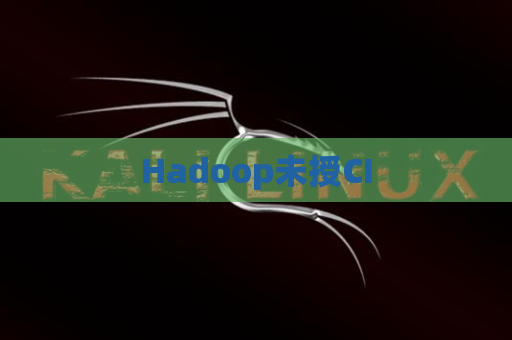 Hadoop未授CI