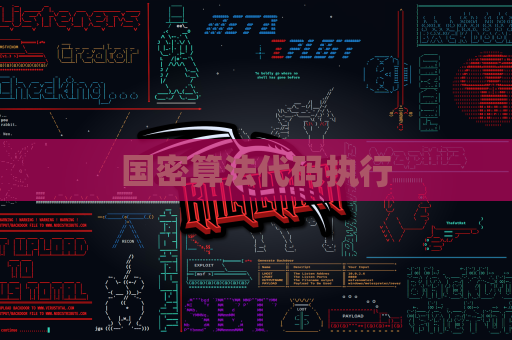 国密算法代码执行