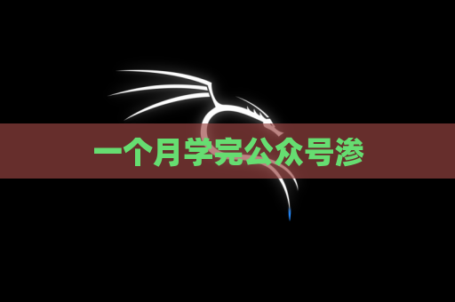 一个月学完公众号渗