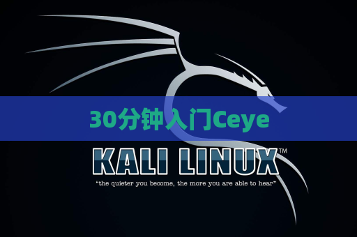 30分钟入门Ceye