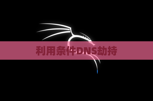 利用条件DNS劫持