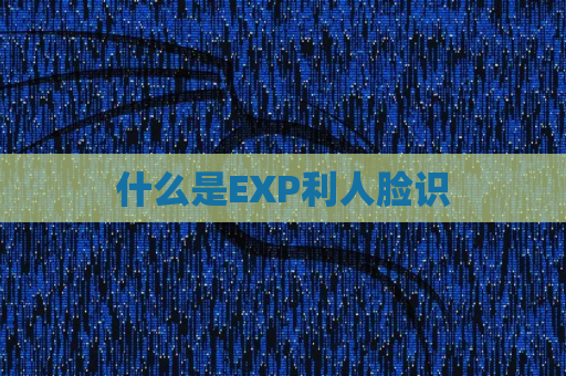 什么是EXP利人脸识