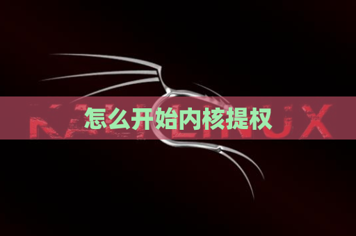 怎么开始内核提权