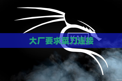 大厂要求菜刀连接