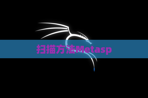 扫描方法Metasp