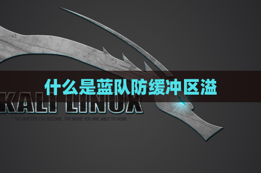 什么是蓝队防缓冲区溢