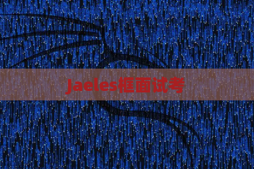 Jaeles框面试考