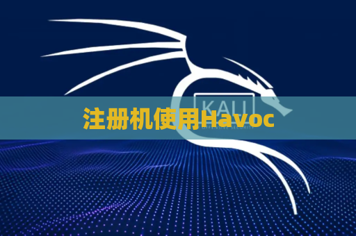 注册机使用Havoc