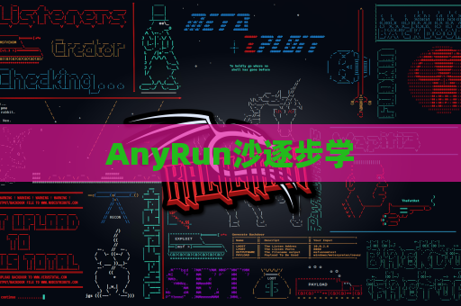 AnyRun沙逐步学