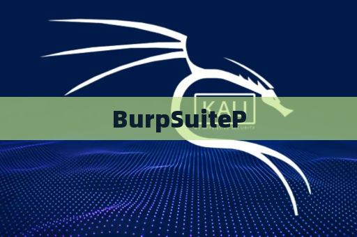 BurpSuiteP