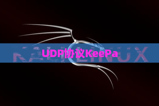 UDP协议KeePa