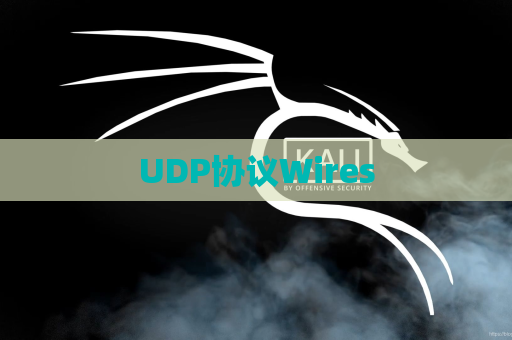 UDP协议Wires