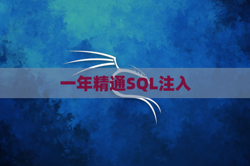 一年精通SQL注入