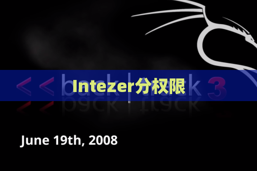 Intezer分权限