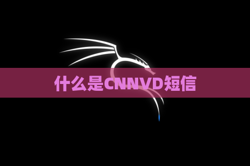什么是CNNVD短信